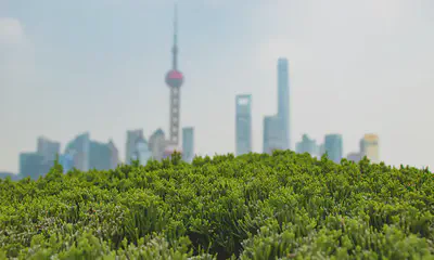 Photo: [Eddie Zhang](https://unsplash.com/photos/xL_mNkABxEY?utm_source=unsplash&utm_medium=referral&utm_content=creditShareLink)
